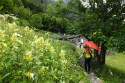 36 alla Piccinela Scendiamo da Maslana